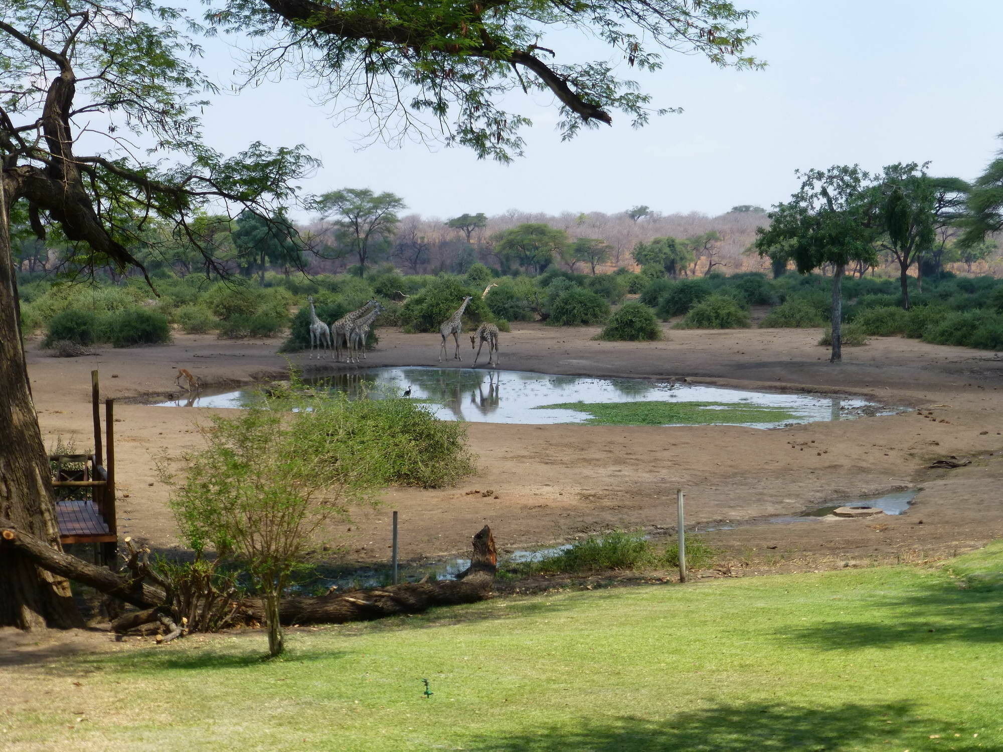 Elephant Valley Lodge Kasane Exterior photo
